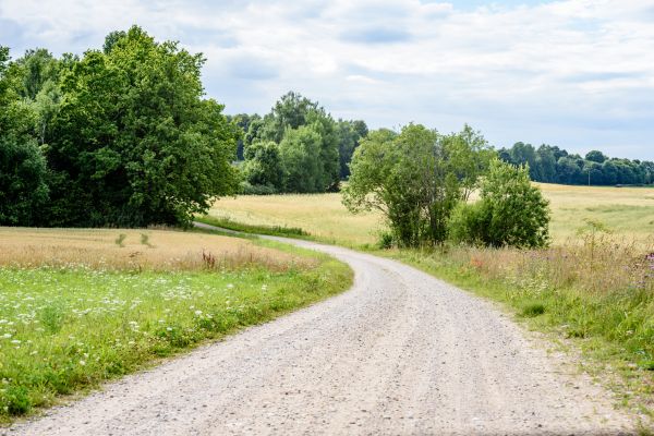 Stone Driveway Repair in Redding