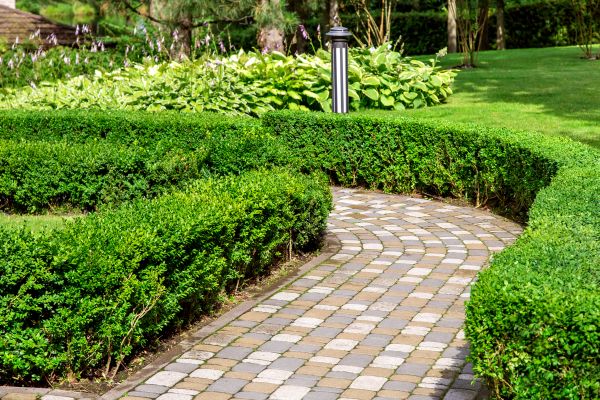 Paved Landscaping in Redding