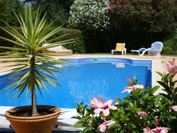 Pool Terrace Renovation in Redding